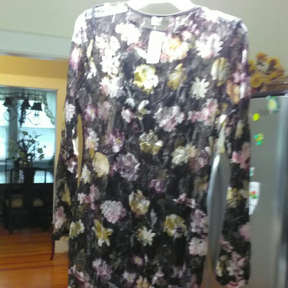 Shear Mini Dress